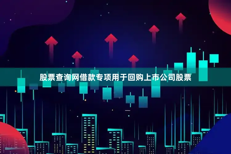股票查询网借款专项用于回购上市公司股票