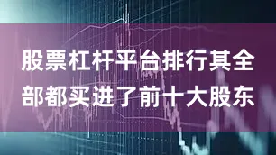 股票杠杆平台排行其全部都买进了前十大股东