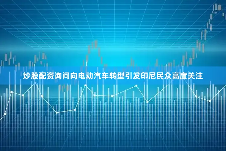炒股配资询问向电动汽车转型引发印尼民众高度关注