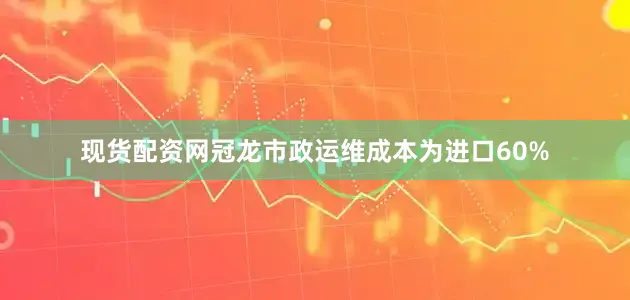 现货配资网冠龙市政运维成本为进口60%